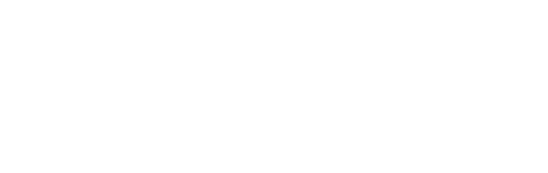 Primor Cosmetics Logo